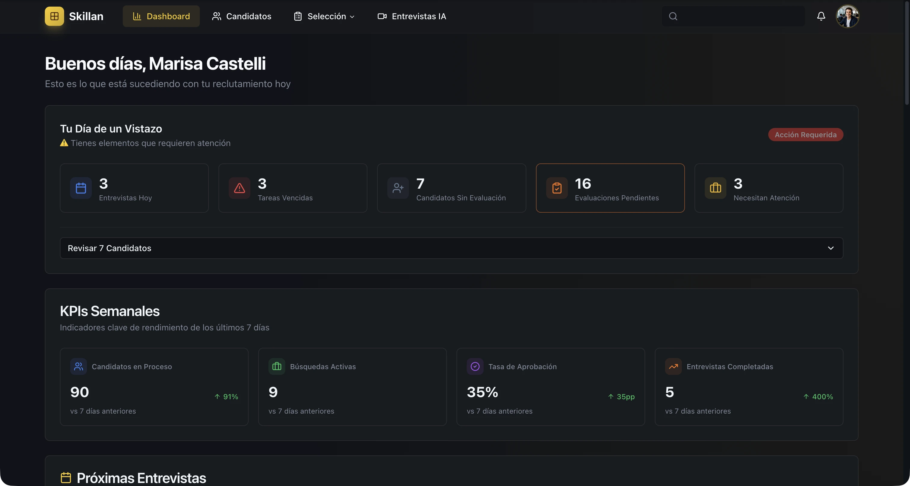 Skillan Dashboard Preview